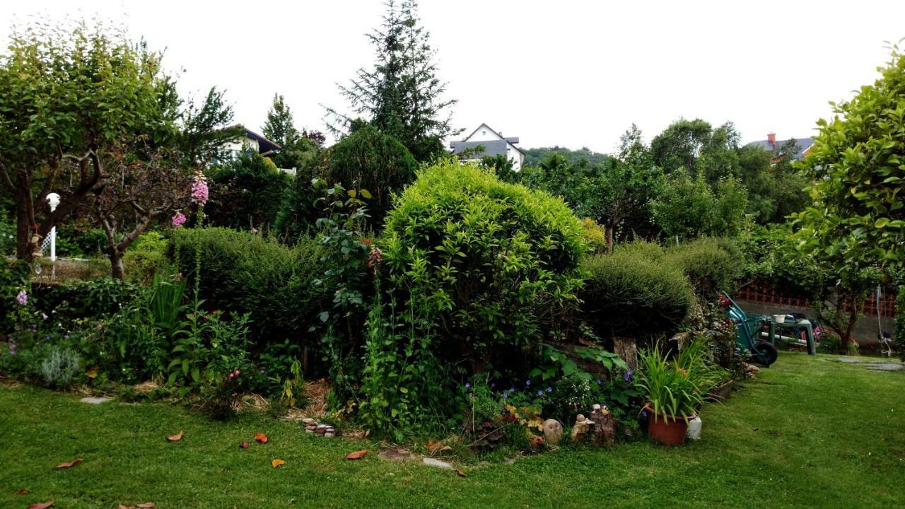 Hillside View Daire Plentzia Dış mekan fotoğraf